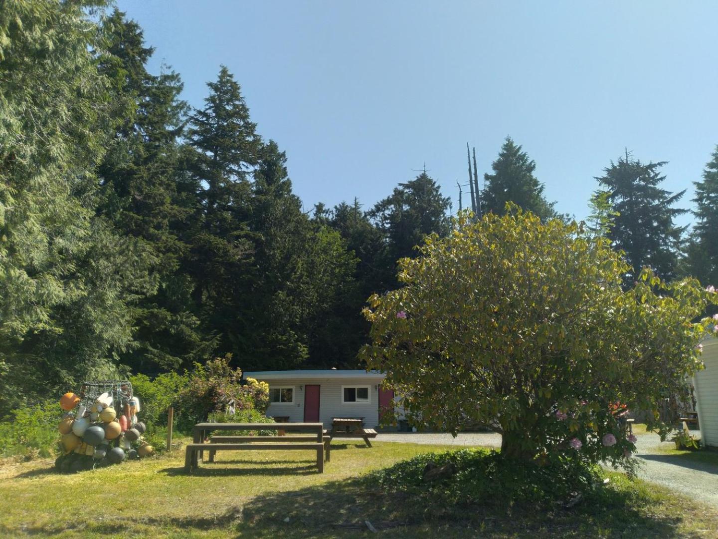 Dolphin Motel Tofino Dış mekan fotoğraf